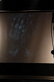 Occultfest_2011_292_TF