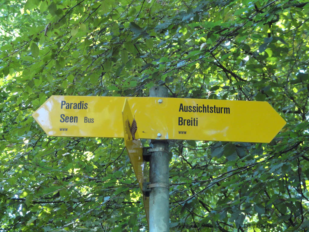 Swiss_2011-09-10-1215_0018_JS.jpg -                                