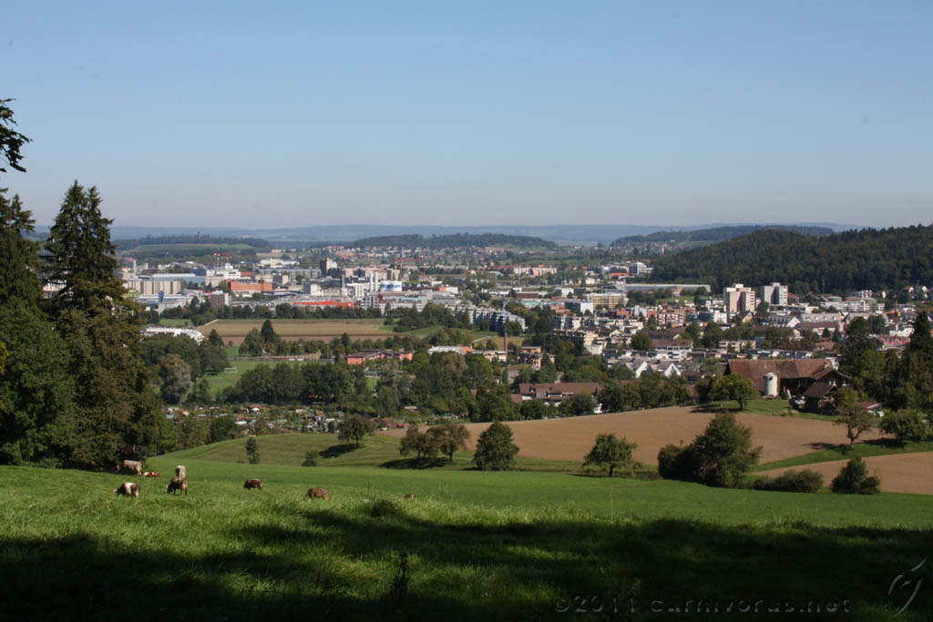 Swiss_2011-09-10-1220_0020_AS.jpg