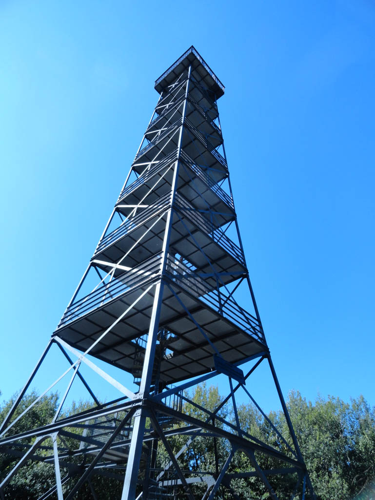 Swiss_2011-09-10-1227_0019_JS.jpg -                                