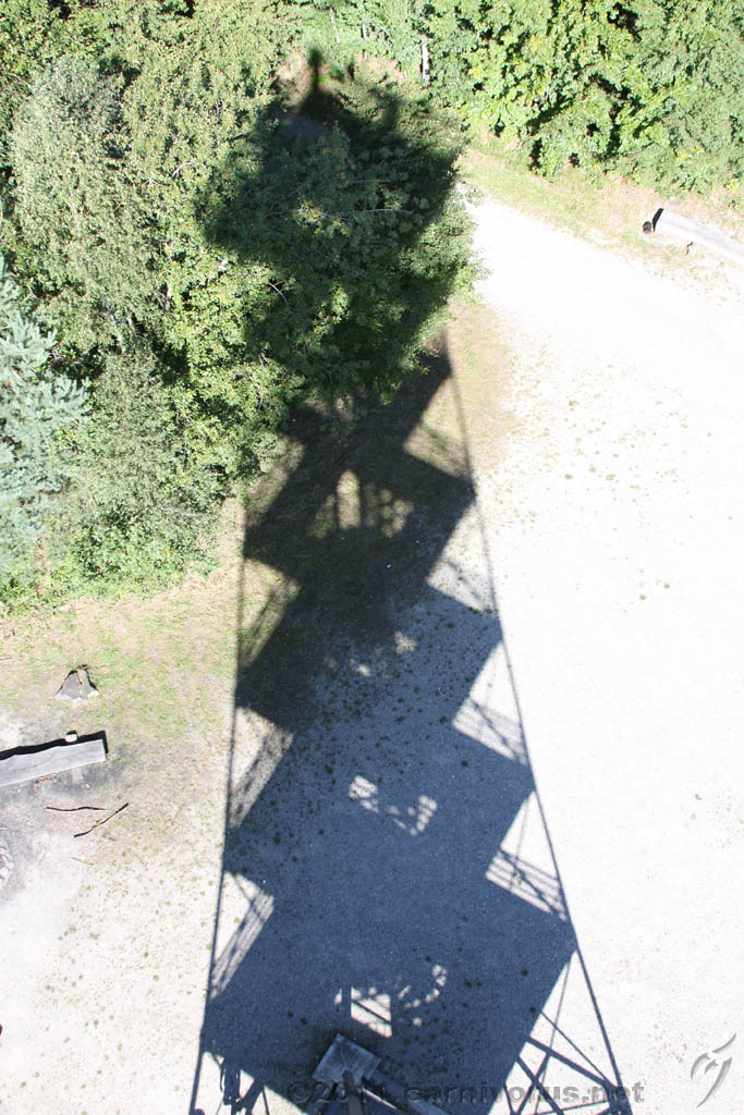 Swiss_2011-09-10-1245_0033_AS.jpg