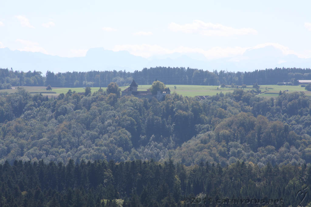 Swiss_2011-09-10-1250_0040_AS.jpg