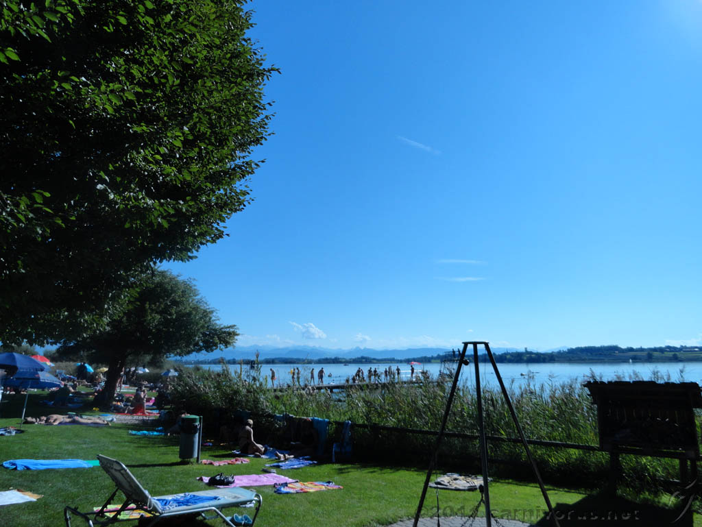 Swiss_2011-09-10-1609_0033_JS.jpg -                                