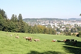 Swiss_2011-09-10-1214_0016_AS