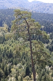 Swiss_2011-09-10-1250_0041_AS