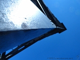 Swiss_2011-09-10-1259_0026_JS