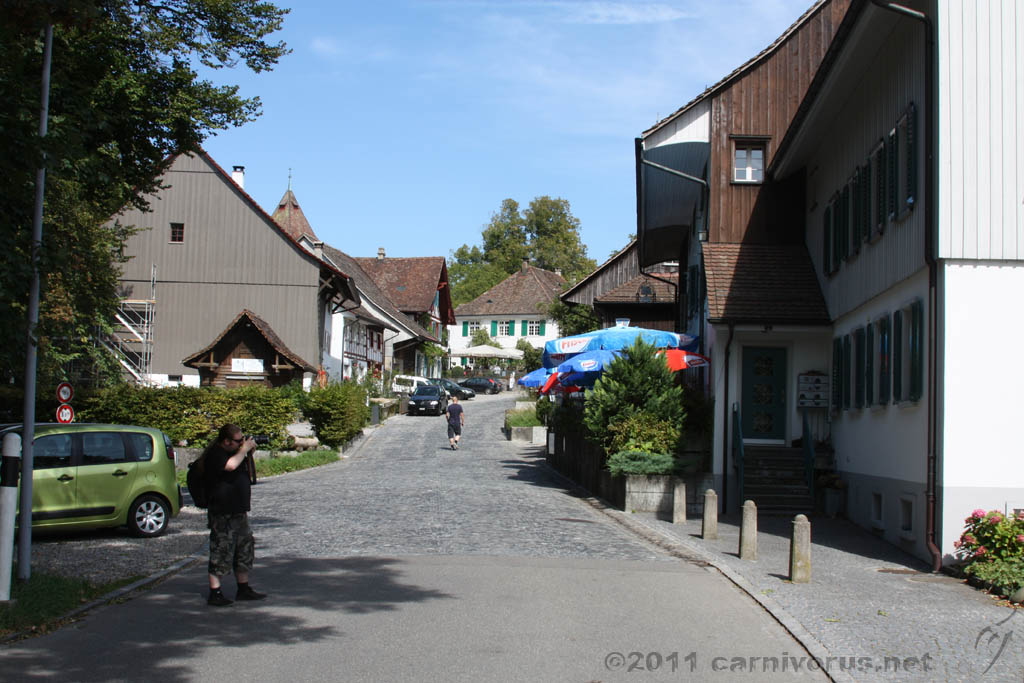 Swiss_2011-09-11-1308_0065_AS.jpg