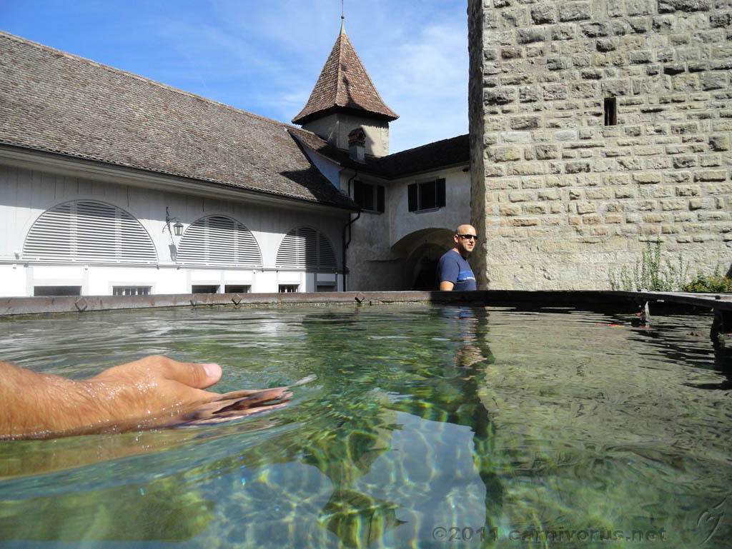 Swiss_2011-09-11-1311_0095_JS.jpg -                                