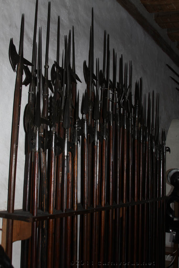 Swiss_2011-09-11-1411_0100_AS.jpg