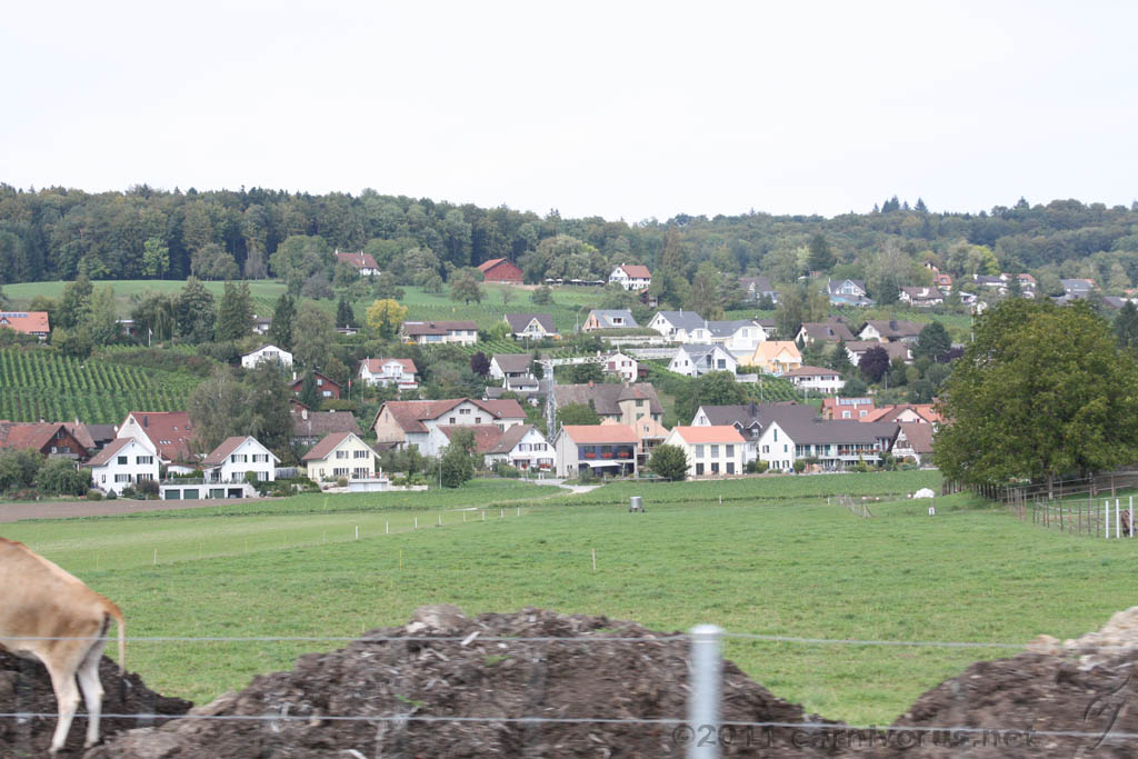 Swiss_2011-09-11-1640_0123_AS.jpg