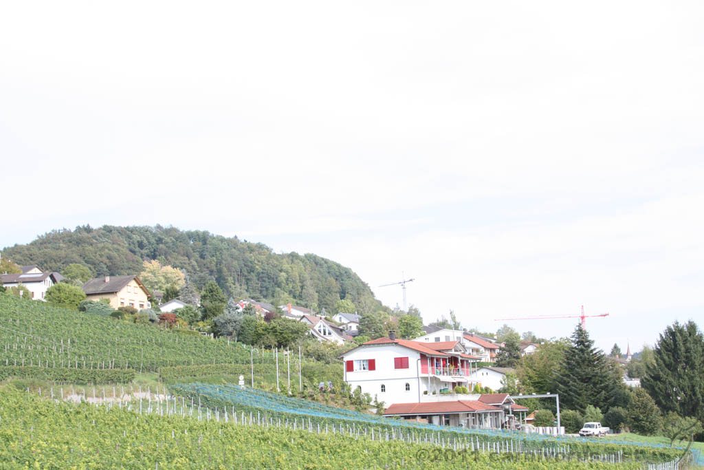Swiss_2011-09-11-1642_0128_AS.jpg