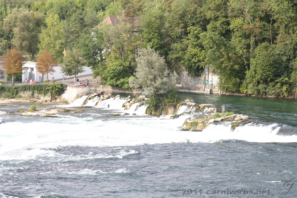 Swiss_2011-09-11-1703_0137_AS.jpg