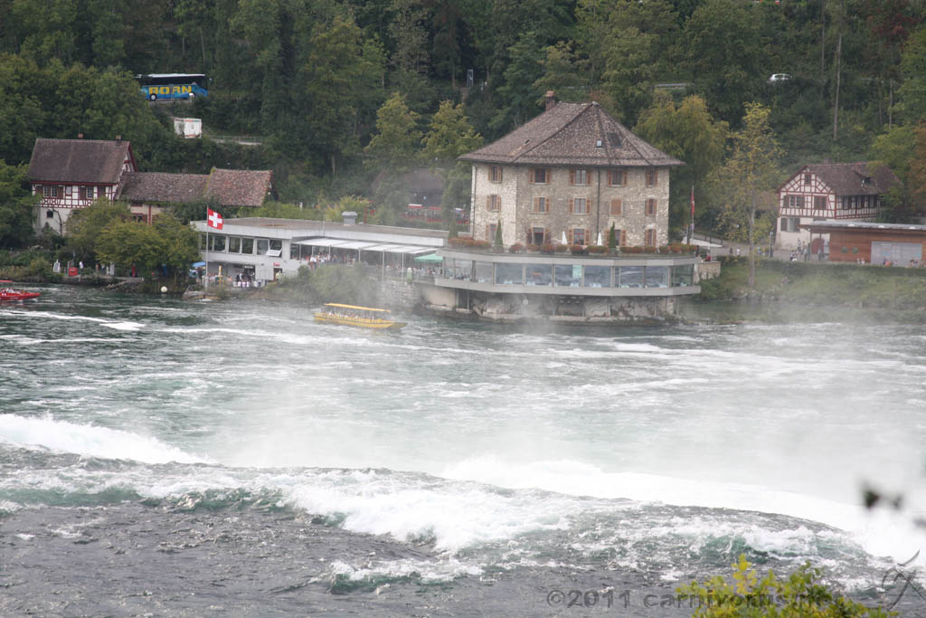 Swiss_2011-09-11-1714_0148_AS.jpg