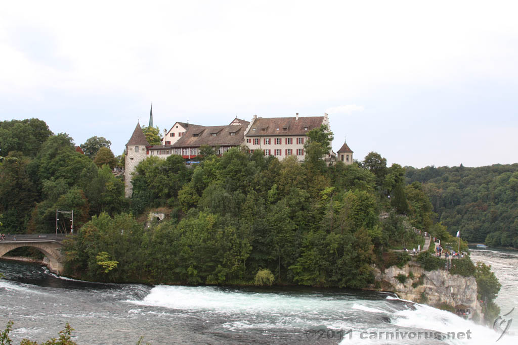 Swiss_2011-09-11-1718_0153_AS.jpg