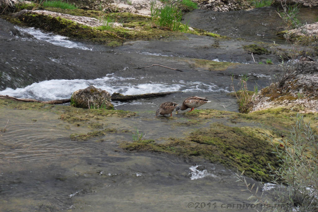 Swiss_2011-09-11-1732_0091_JL.jpg - SAMSUNG DIGITAL CAMERA
