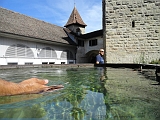 Swiss_2011-09-11-1311_0095_JS