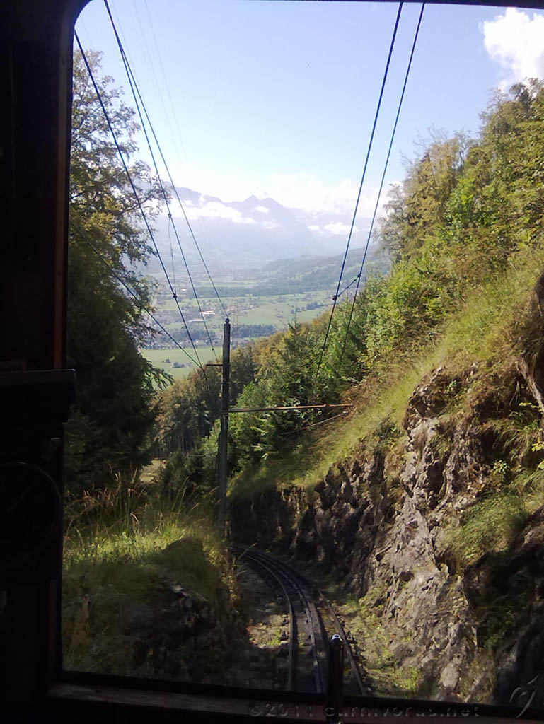 Swiss_2011-09-12-1149_0012_OG.jpg