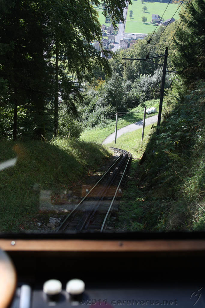 Swiss_2011-09-12-1150_0246_AS.jpg
