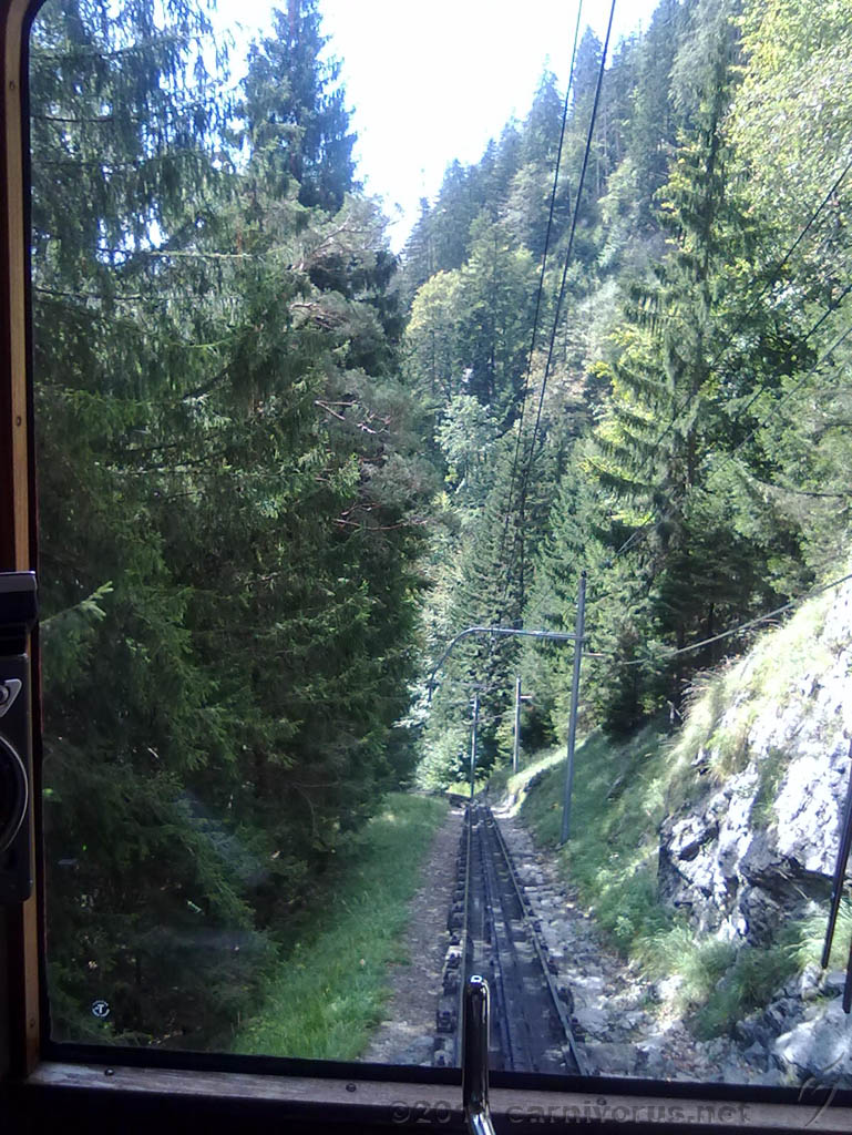 Swiss_2011-09-12-1152_0018_OG.jpg