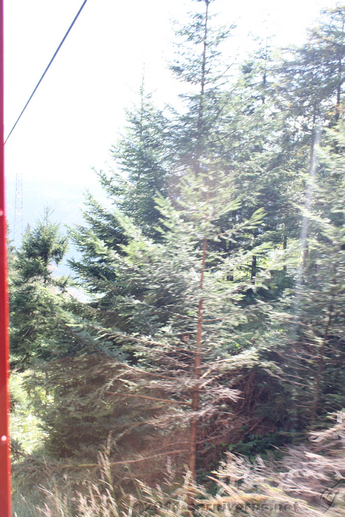 Swiss_2011-09-12-1154_0253_AS.jpg