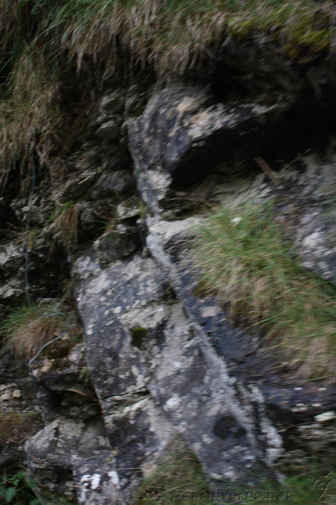Swiss_2011-09-12-1154_0255_AS.jpg