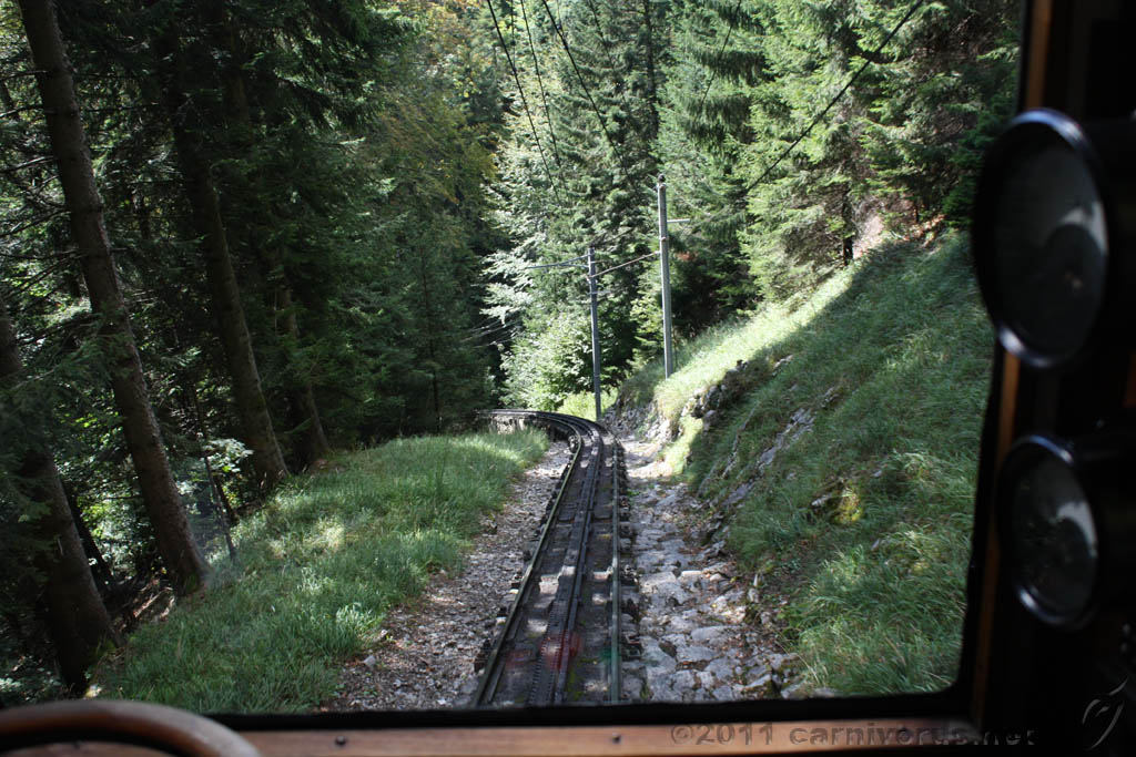 Swiss_2011-09-12-1155_0257_AS.jpg
