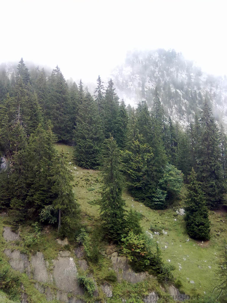 Swiss_2011-09-12-1200_0025_OG.jpg