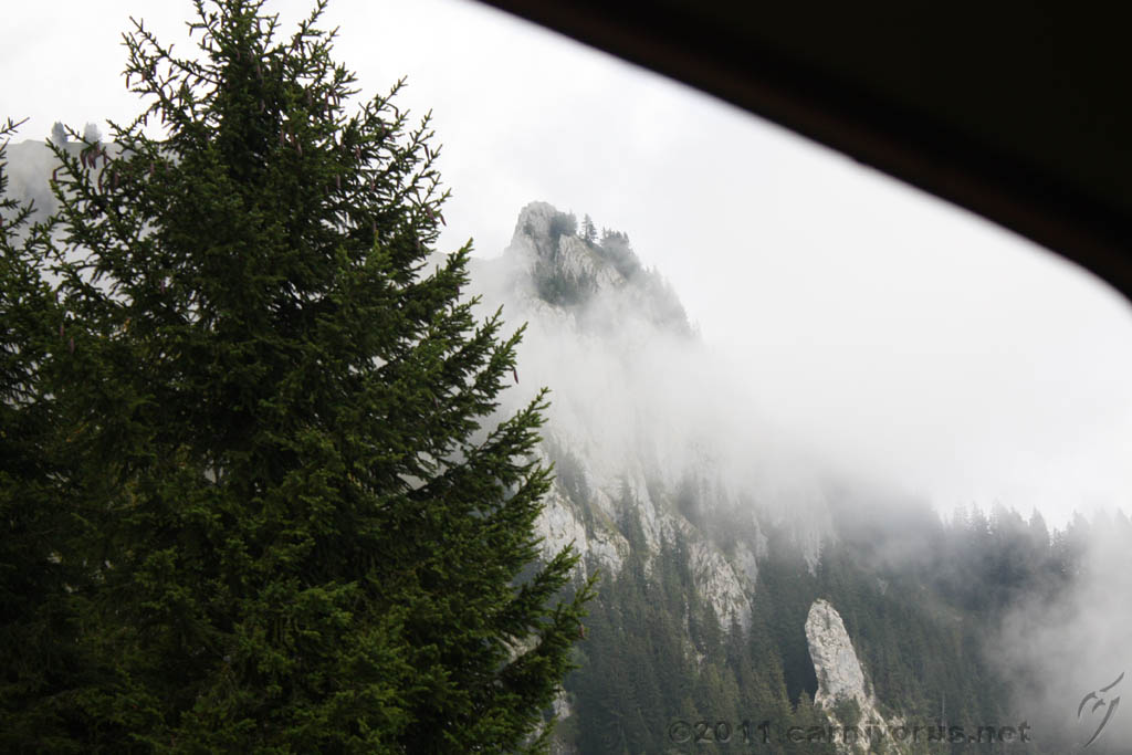 Swiss_2011-09-12-1201_0271_AS.jpg