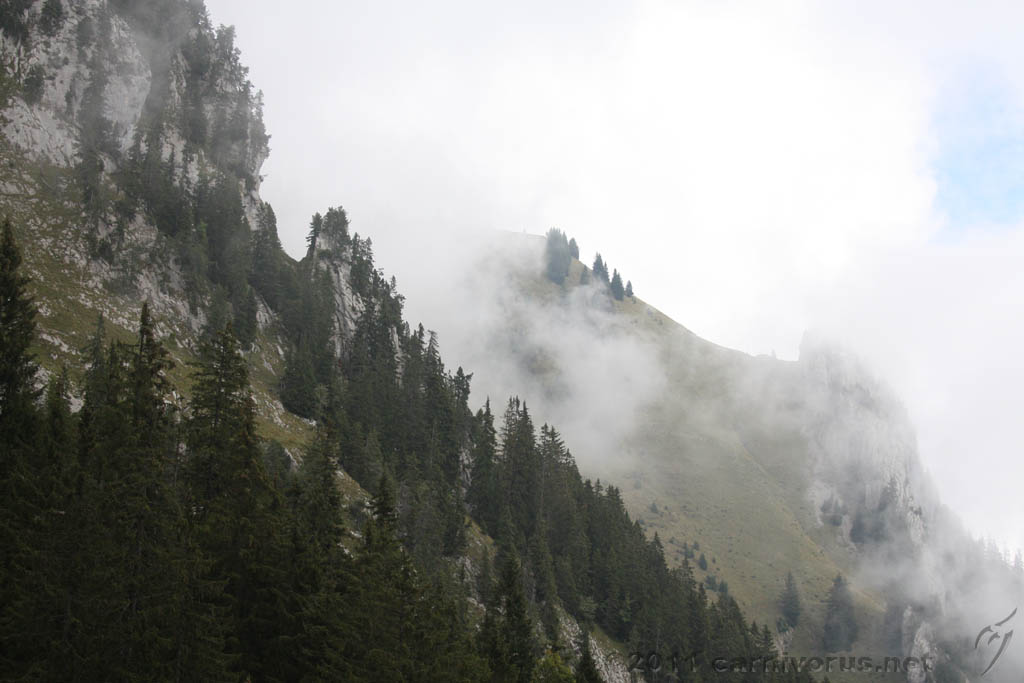 Swiss_2011-09-12-1203_0275_AS.jpg