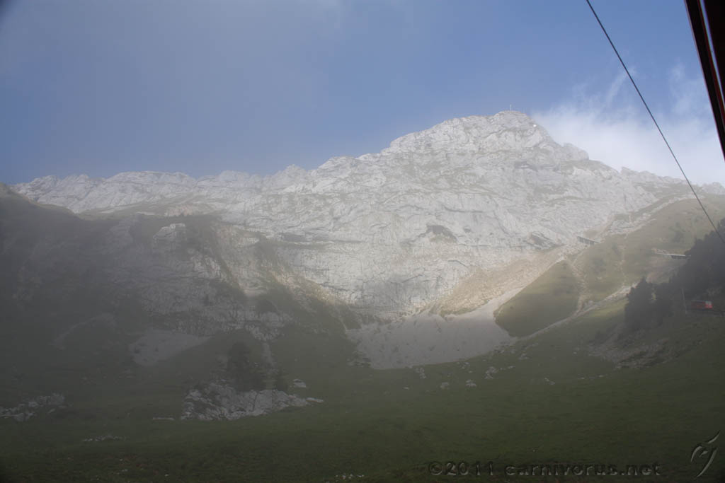 Swiss_2011-09-12-1207_0289_AS.jpg