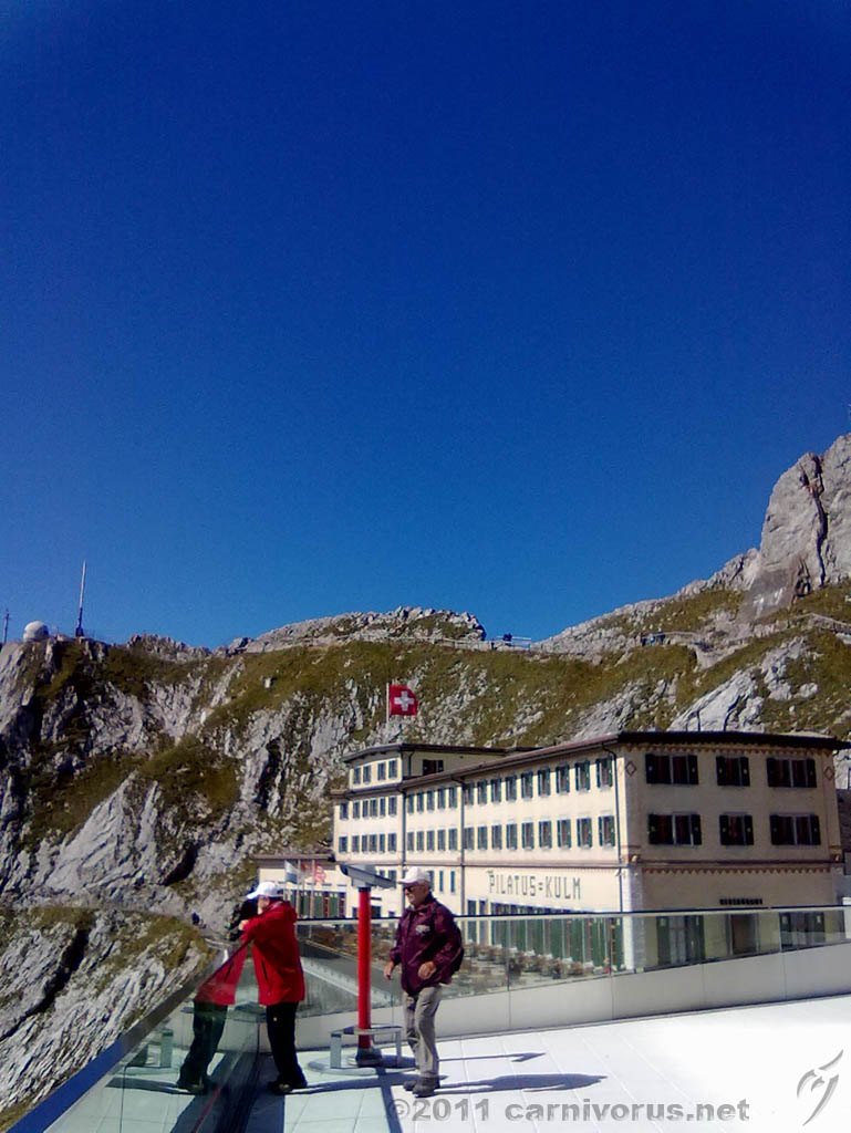 Swiss_2011-09-12-1226_0056_OG.jpg