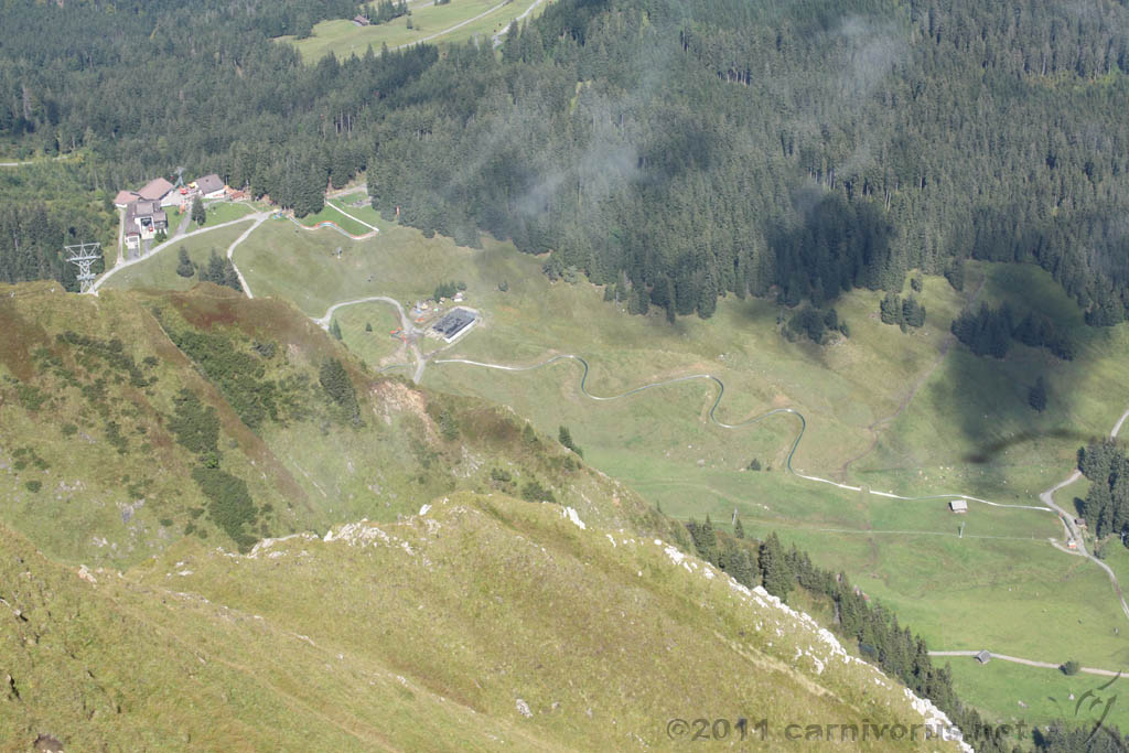 Swiss_2011-09-12-1256_0352_AS.jpg
