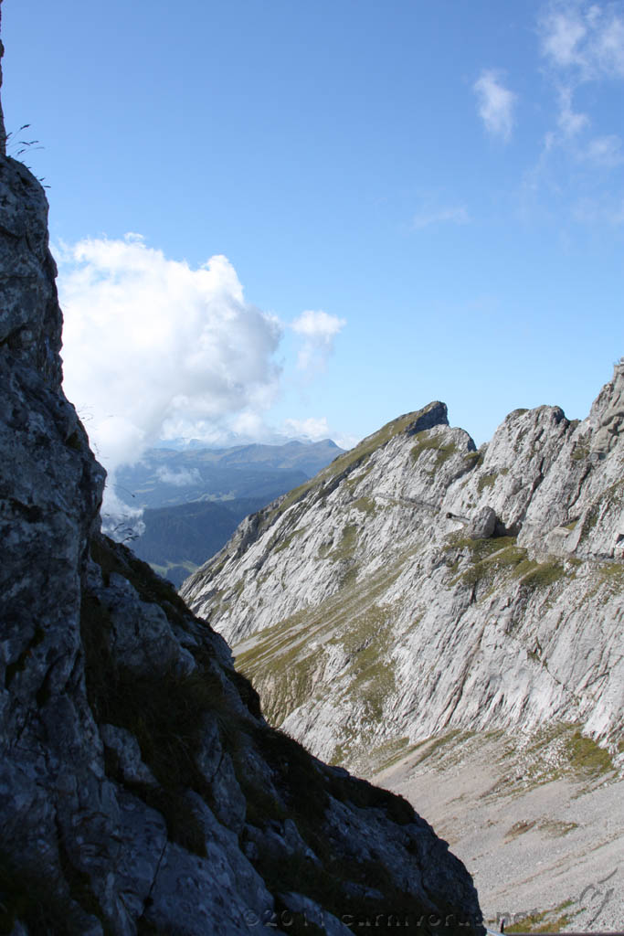 Swiss_2011-09-12-1257_0353_AS.jpg