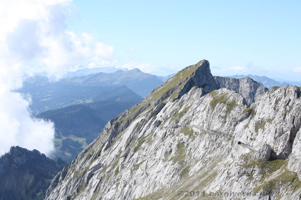 Swiss_2011-09-12-1305_0362_AS.jpg
