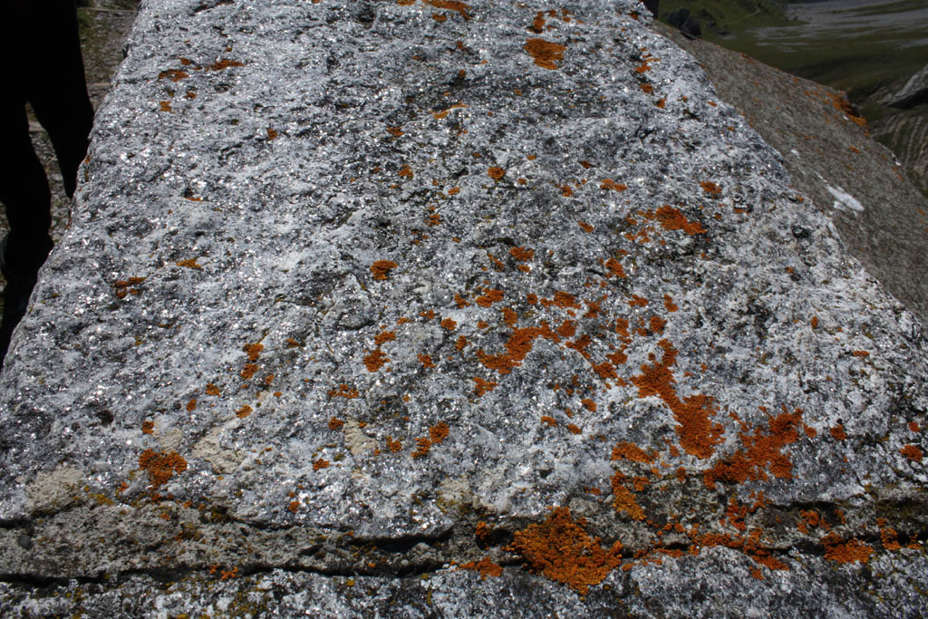 Swiss_2011-09-12-1315_0372_AS.jpg
