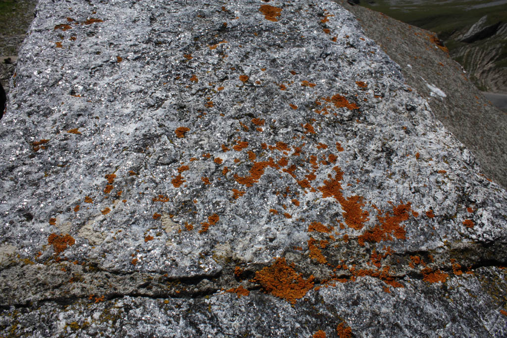 Swiss_2011-09-12-1315_0373_AS.jpg