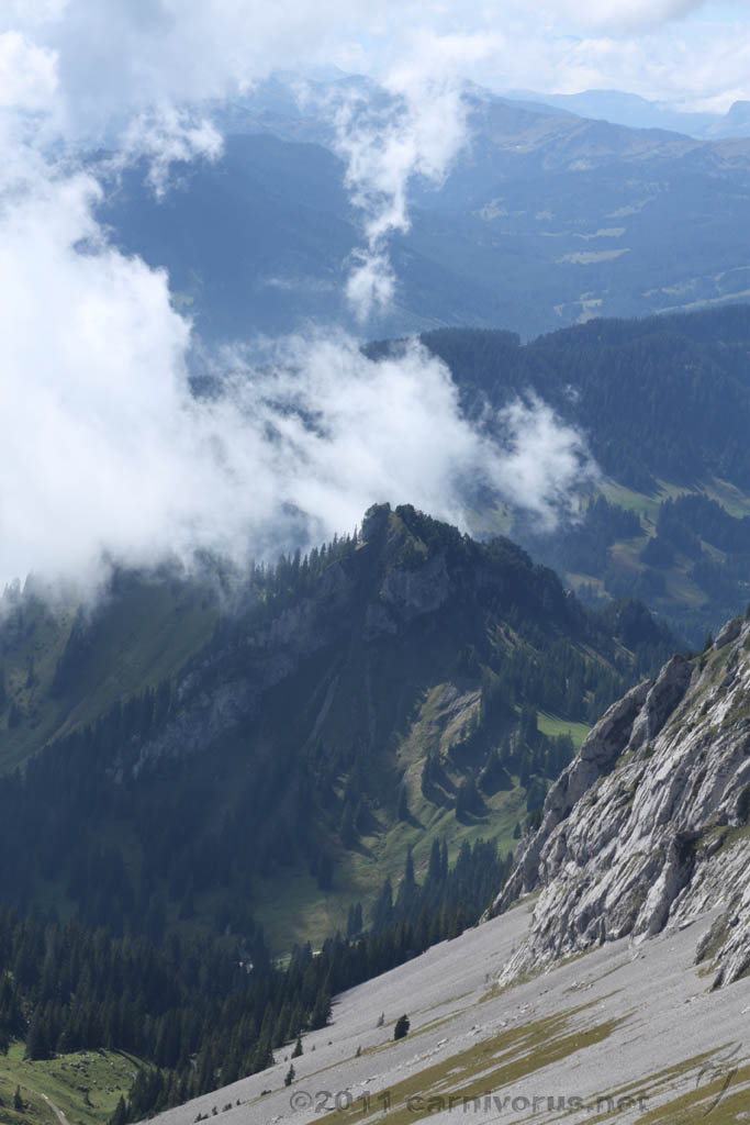 Swiss_2011-09-12-1327_0384_AS.jpg