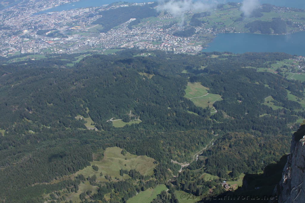 Swiss_2011-09-12-1346_0388_AS.jpg