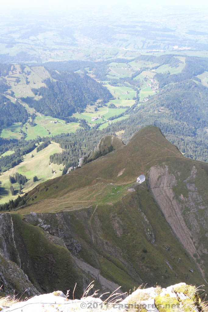 Swiss_2011-09-12-1428_0194_JL.jpg - SAMSUNG DIGITAL CAMERA