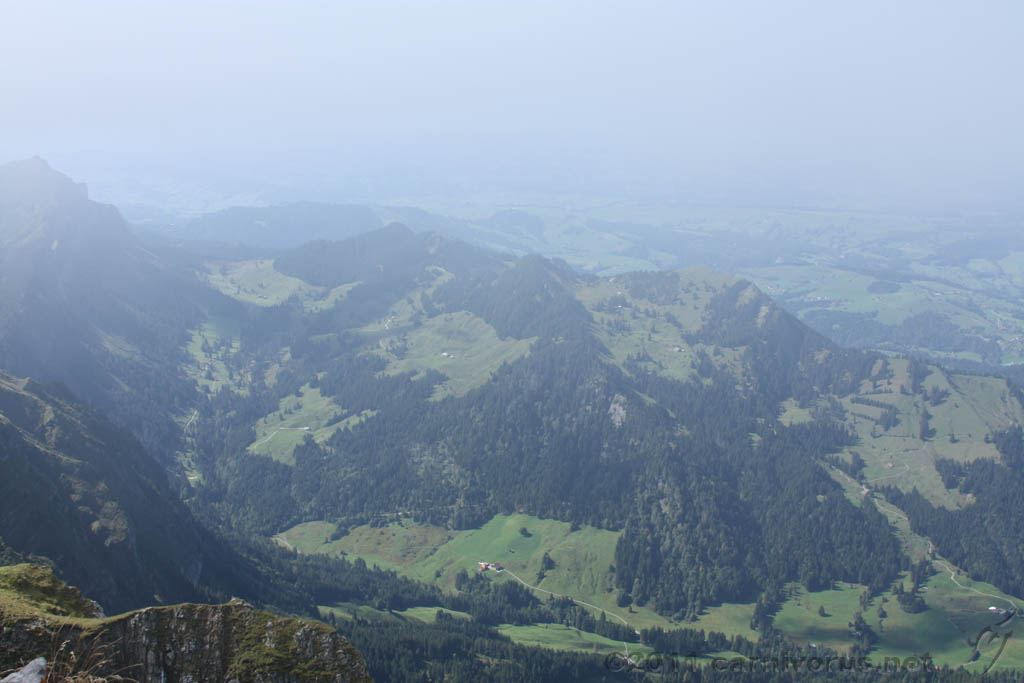 Swiss_2011-09-12-1433_0398_AS.jpg