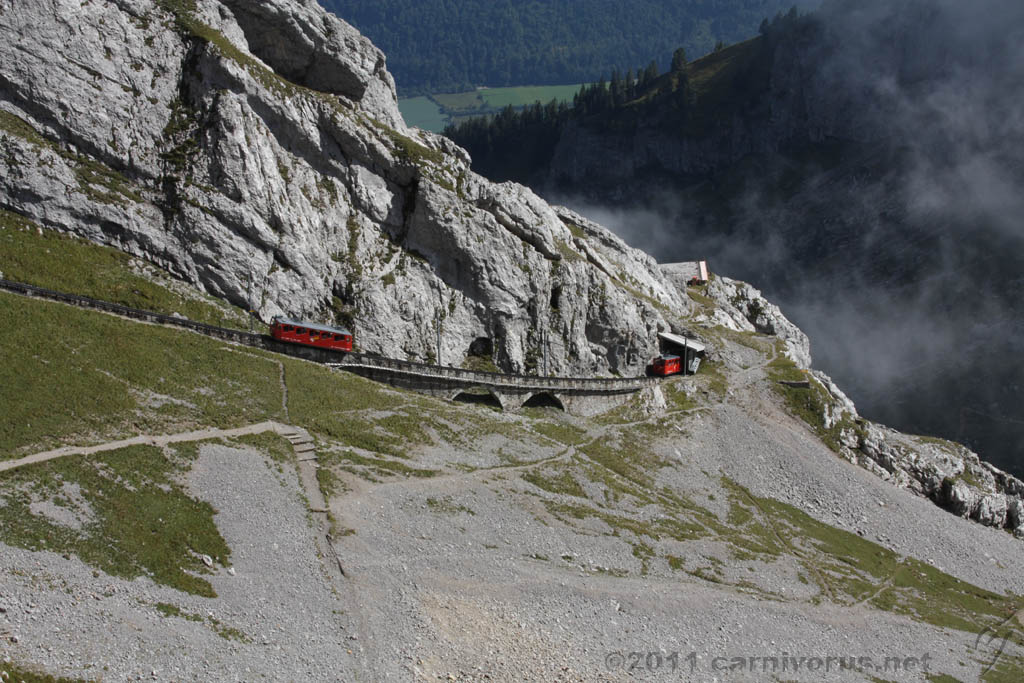 Swiss_2011-09-12-1449_0414_AS.jpg