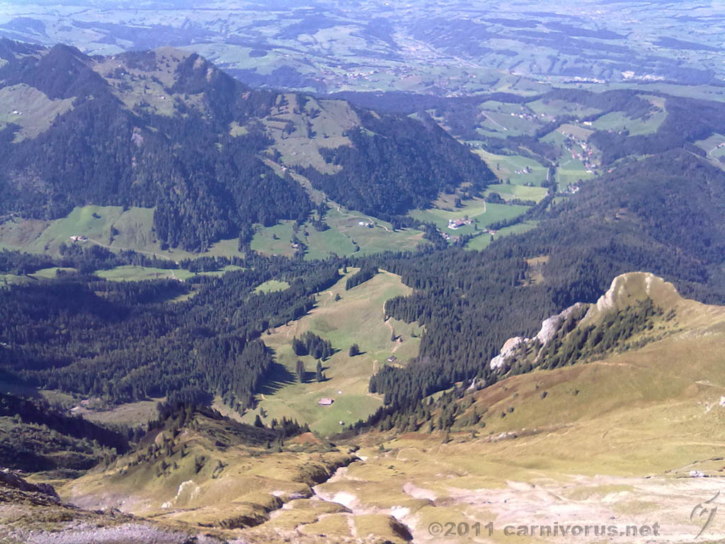 Swiss_2011-09-12-1454_0094_OG.jpg