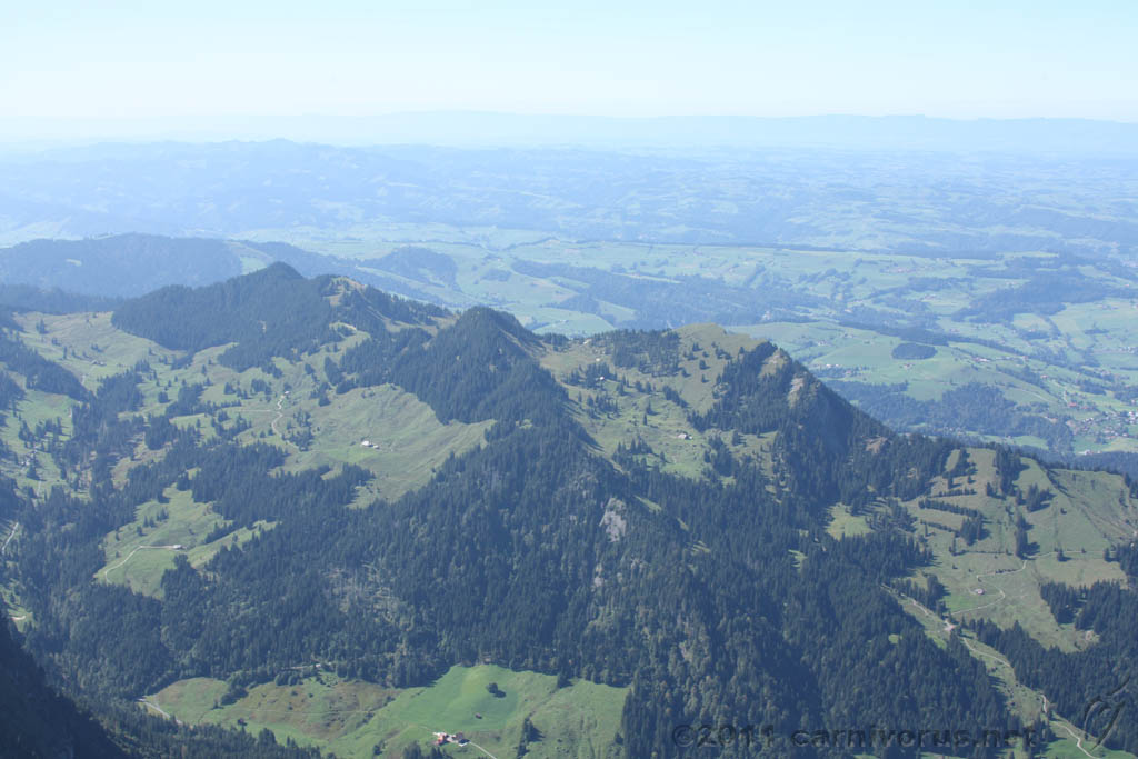 Swiss_2011-09-12-1458_0427_AS.jpg