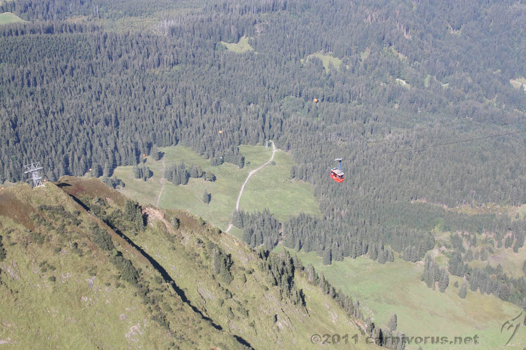 Swiss_2011-09-12-1507_0436_AS.jpg