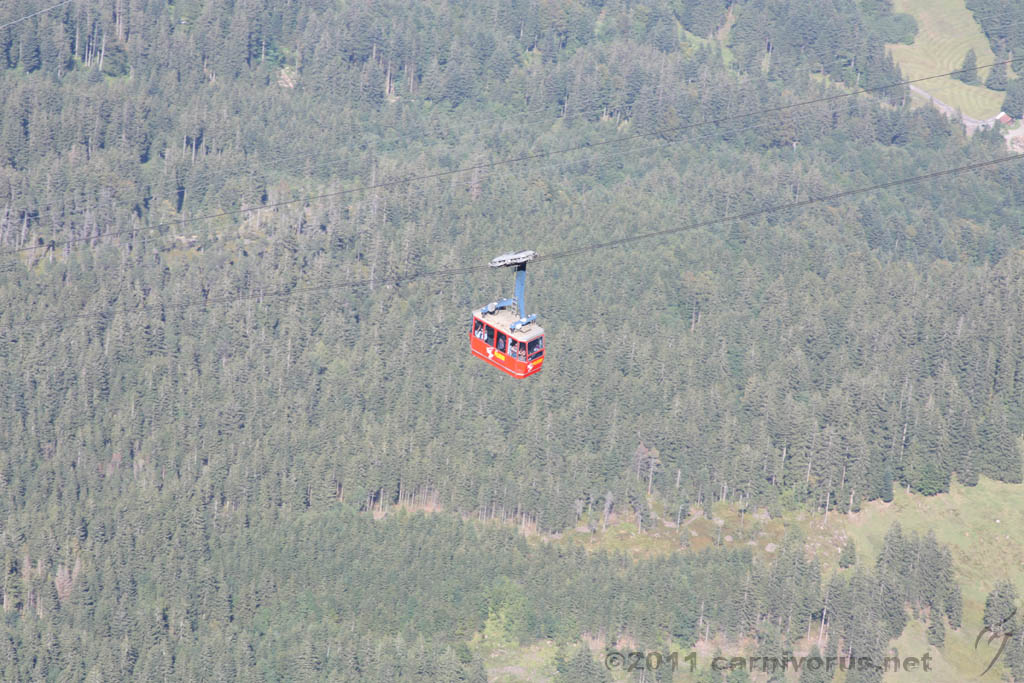 Swiss_2011-09-12-1508_0437_AS.jpg