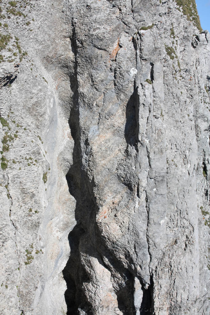 Swiss_2011-09-12-1552_0471_AS.jpg