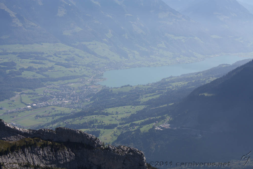 Swiss_2011-09-12-1557_0475_AS.jpg