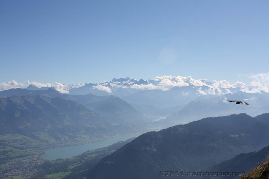 Swiss_2011-09-12-1611_0485_AS.jpg