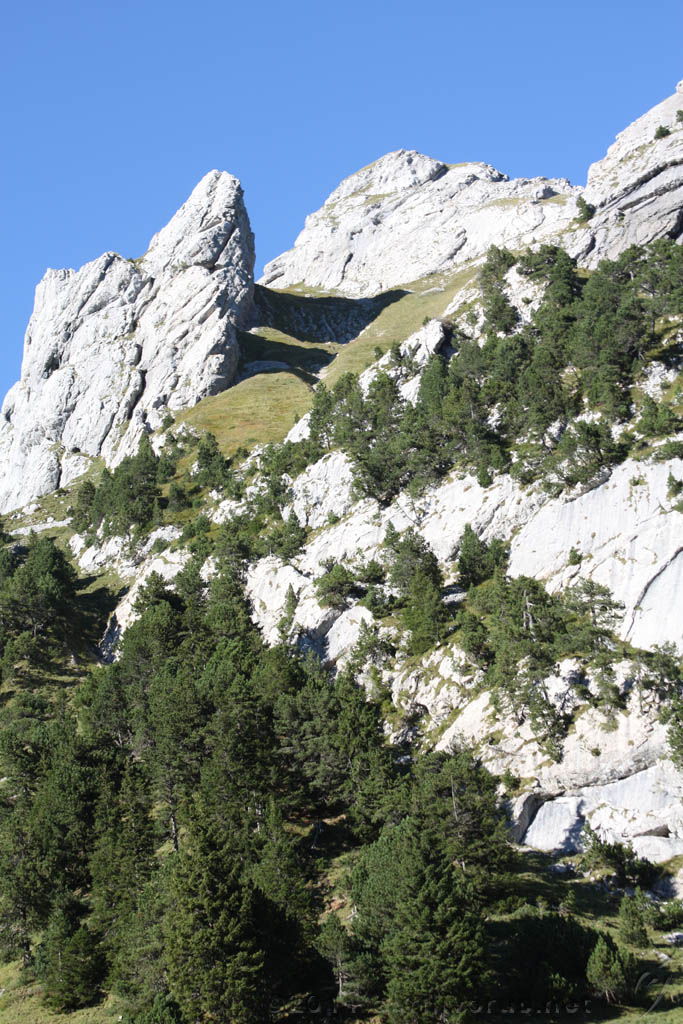 Swiss_2011-09-12-1720_0507_AS.jpg