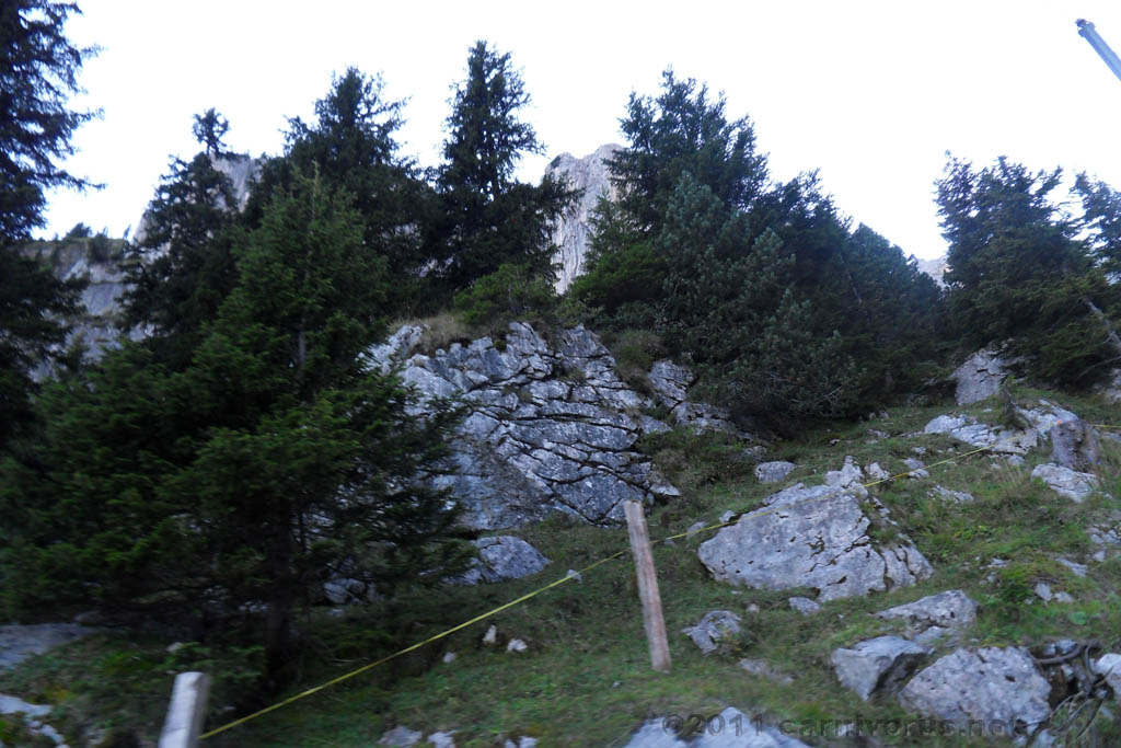 Swiss_2011-09-12-1721_0251_JL.jpg - SAMSUNG DIGITAL CAMERA
